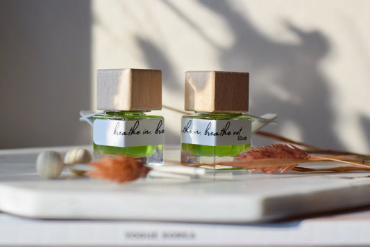 Vent Clip Freshener Minty (breathe in, breathe out)